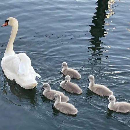 Kapitaen Hansen Haus Prázdninový dům