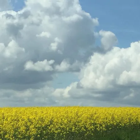 Kapitaen Hansen Haus 別荘 Kosel